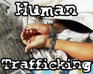 ‘Representation of Transnational Human Trafficking’ Symposium